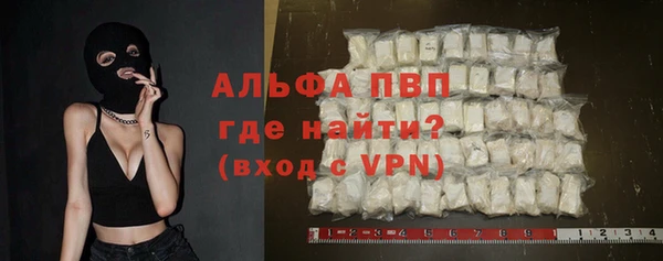 стафф Ладушкин