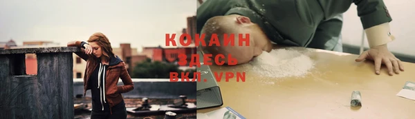 MESCALINE Заполярный