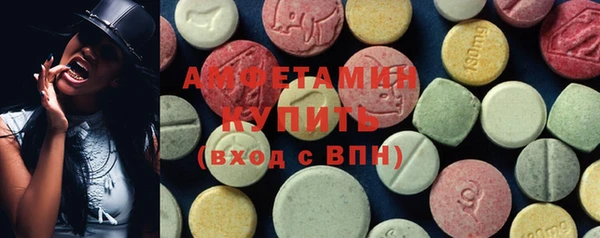 шишки Тавда