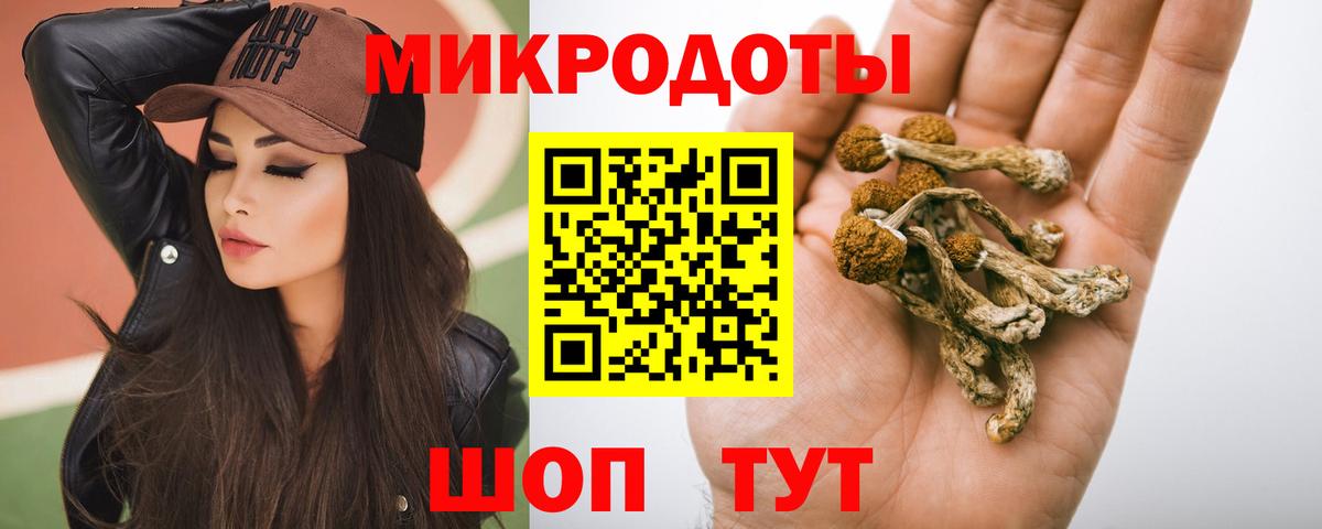 Псилоцибиновые грибы Psilocybe  Вход с VPN  Псилоцибиновые грибы мухоморы  Мариинск 