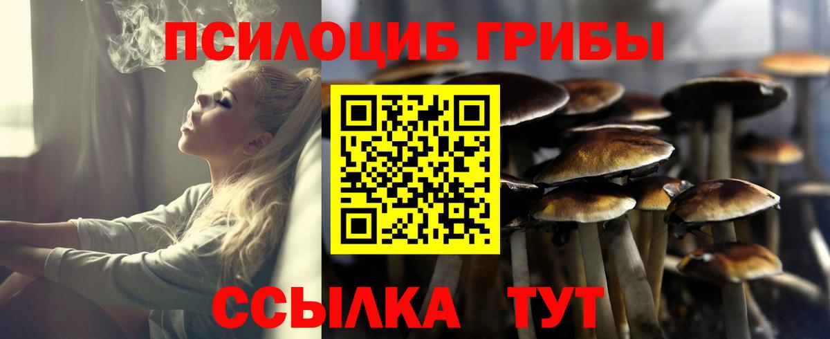 Галлюциногенные грибы ЛСД Мариинск